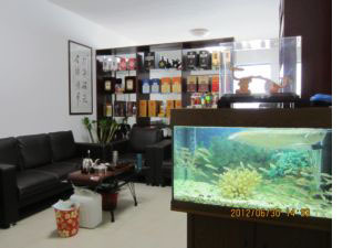 習酒,醬印酒,茅臺酒,珍酒,郎酒,劍南春,瀘州老窖,五糧液,汾酒,二鍋頭,洋河,水井坊,不老酒,王子酒,貢酒,迎賓酒,黔坤酒,工廠,廠商-廣州貴大酒業(yè)